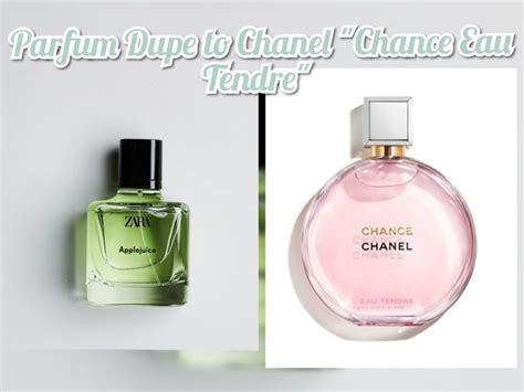 dupe chanel chance eau fraiche|Chanel chance tendre dupe.